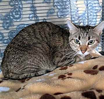 Photo of Coco