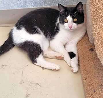 Photo of Izzie