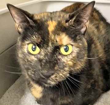 Photo of 2025-05 Missy