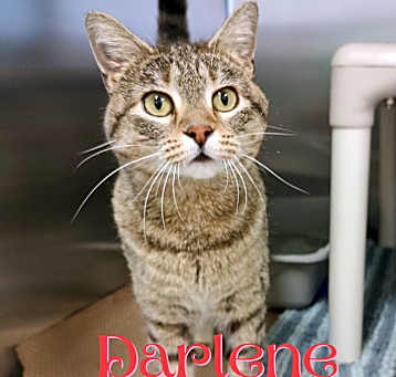 Photo of Darlene(who lives 3houses down
