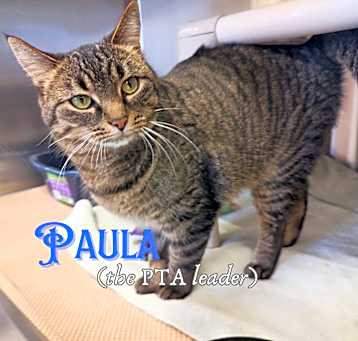 Photo of Paula (the PTA leader)
