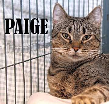 Photo of Paige