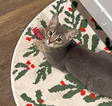 Photo of Fiona