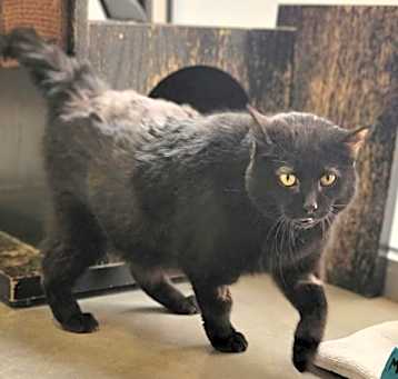 Photo of Mandy Mae