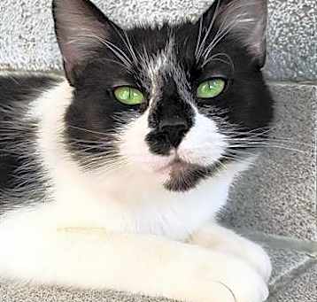 Photo of MACY