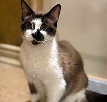 Photo of Hillary Kitt