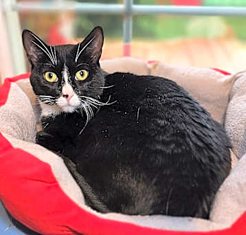 Photo of Buggs