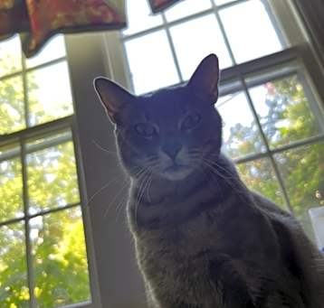 Photo of Girlfriend