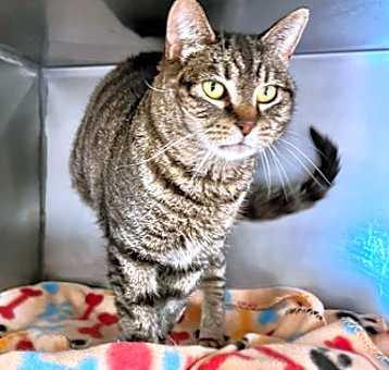 Photo of Tuna