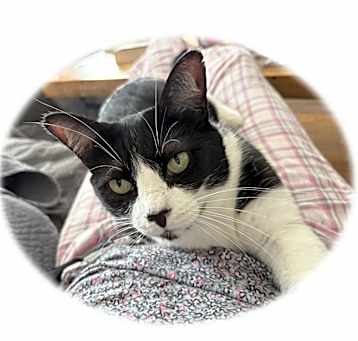 Photo of Betty