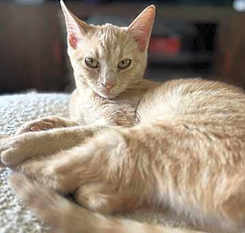 Photo of Ravin