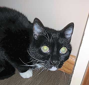 Photo of Milli