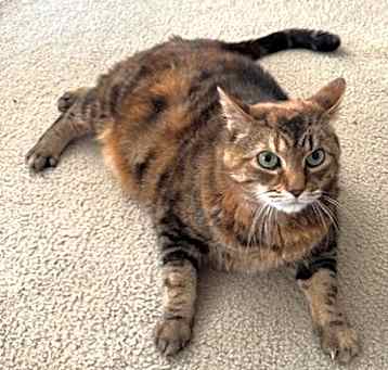 Photo of Zeva