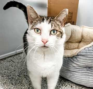 Photo of Waffles