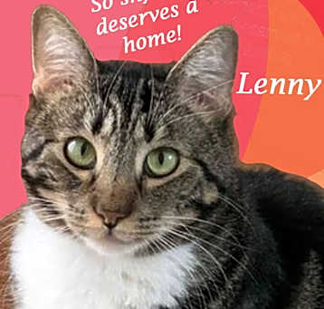 Photo of Lucky LENNY!