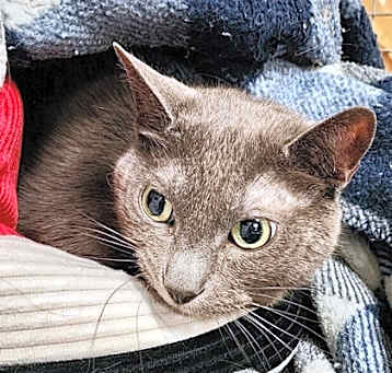 Photo of Kiki