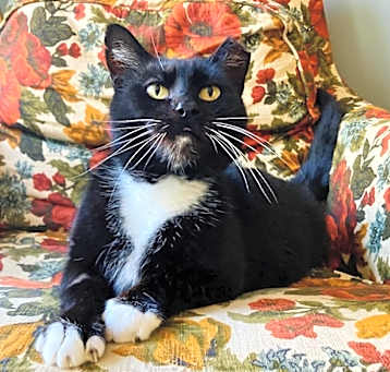 Photo of Dottie