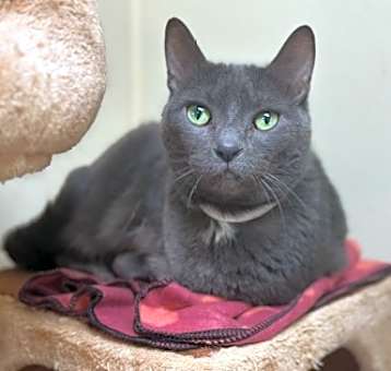 Photo of Cassidy