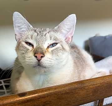 Photo of Martin