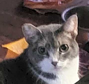 Photo of Kinzy