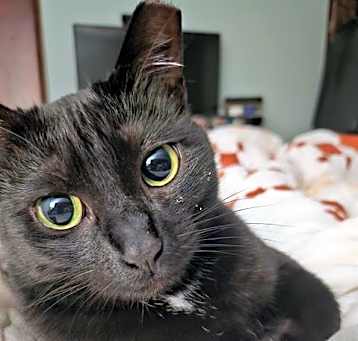 Photo of NOVA