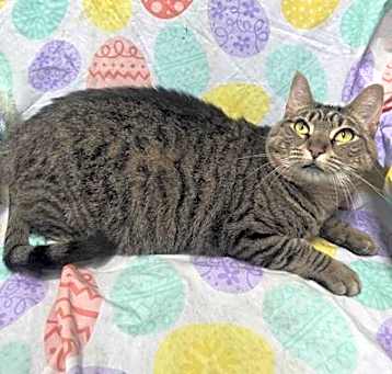 Photo of Aggie