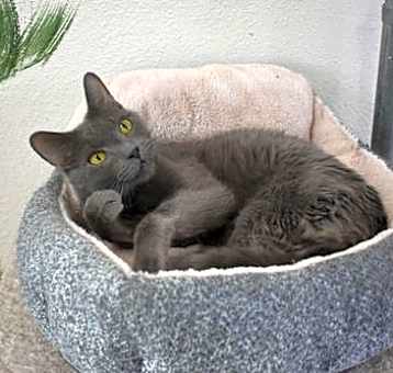 Photo of Blu - PF