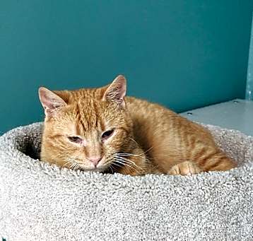 Photo of Fuzzy