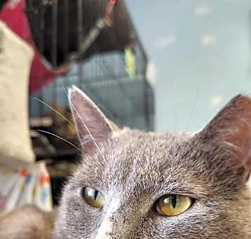Photo of Ash