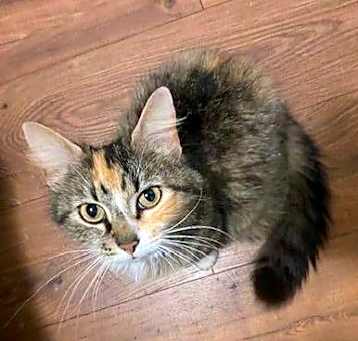 Photo of Mama
