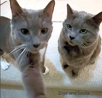 Photo of Zoya
