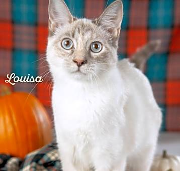 Photo of Louisa