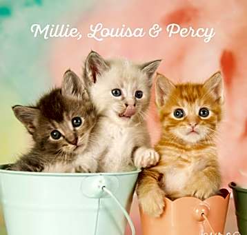 Photo of Millie