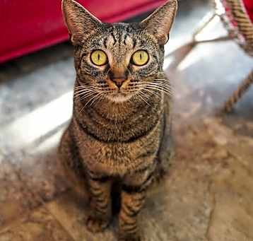 Photo of Beatrice