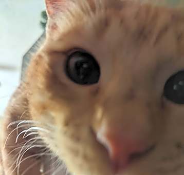 Photo of Jack