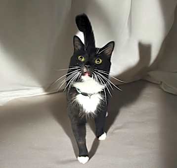 Photo of Kiddy AKA Weston