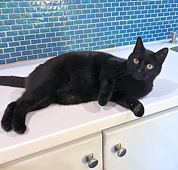 Photo of Gertie