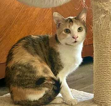 Photo of Dorothy