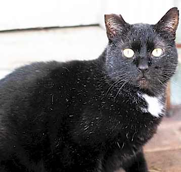 Photo of Rocky