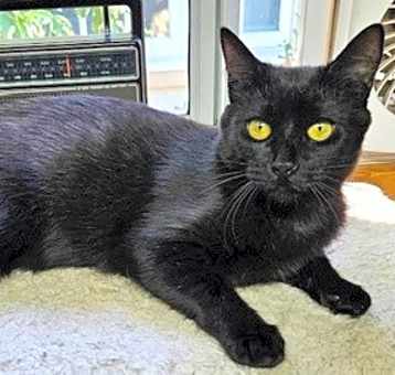 Photo of Baggie