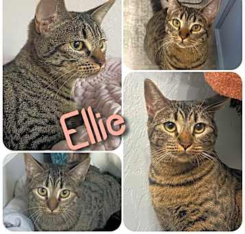 Photo of Ellie