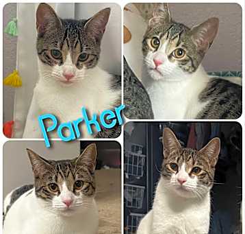 Photo of Parker