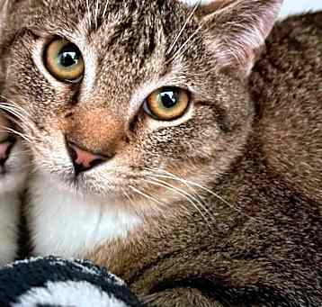 Photo of Jace