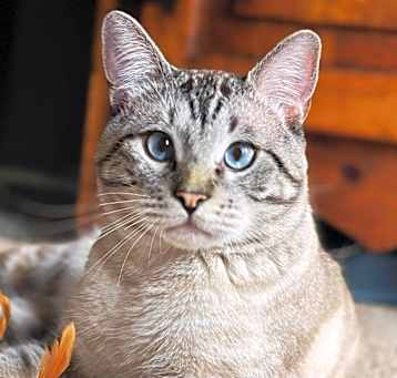 Photo of Kahn