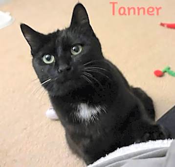 Photo of Tanner