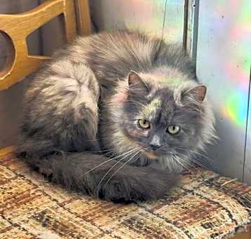 Photo of Sally