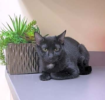 Photo of Victor