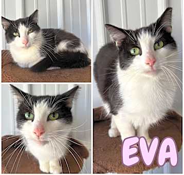 Photo of Eva