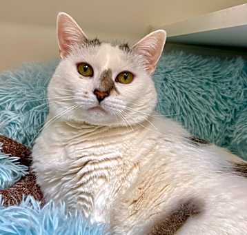 Photo of Tabitha