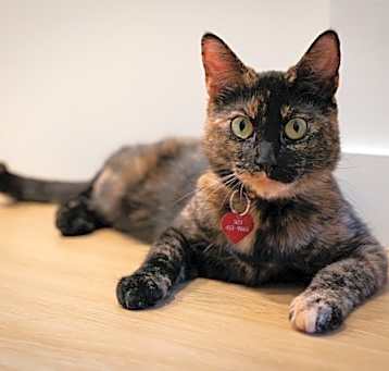 Photo of Magda